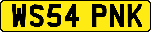 WS54PNK