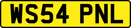 WS54PNL