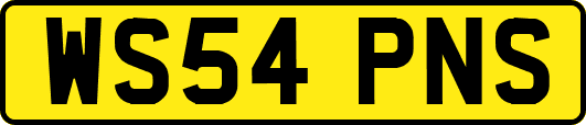 WS54PNS
