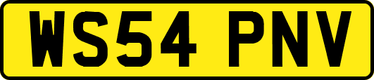 WS54PNV