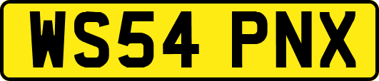WS54PNX
