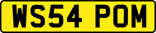 WS54POM