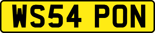 WS54PON