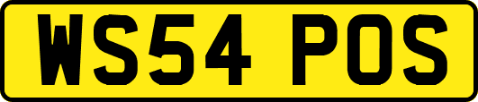 WS54POS