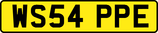 WS54PPE