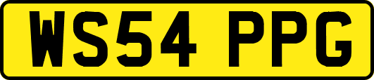 WS54PPG