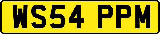 WS54PPM