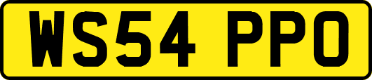 WS54PPO