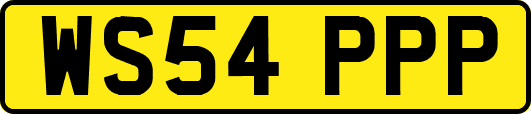 WS54PPP