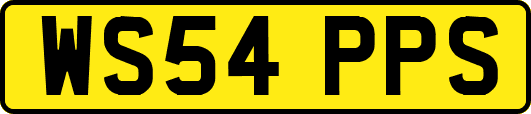 WS54PPS