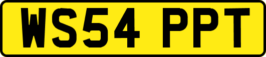 WS54PPT