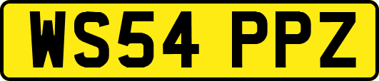 WS54PPZ