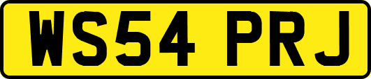 WS54PRJ