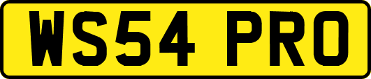 WS54PRO