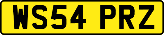 WS54PRZ