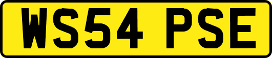 WS54PSE