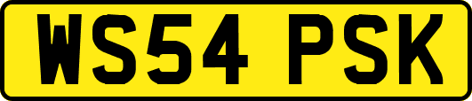 WS54PSK