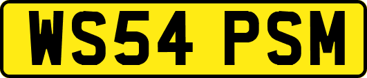 WS54PSM