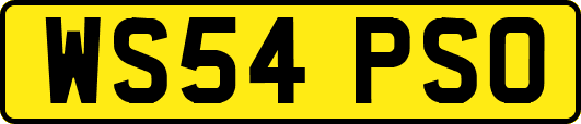 WS54PSO