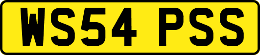 WS54PSS