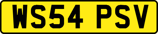 WS54PSV