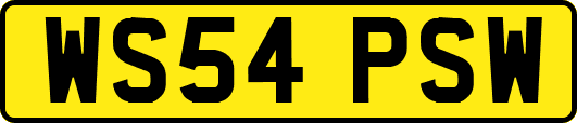WS54PSW