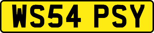 WS54PSY