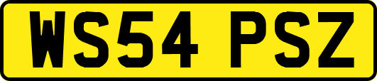 WS54PSZ