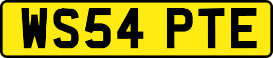 WS54PTE