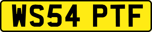 WS54PTF