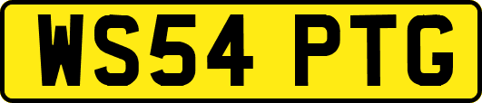 WS54PTG