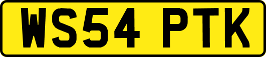 WS54PTK