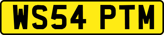 WS54PTM