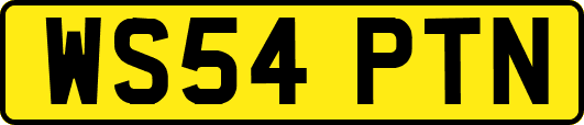 WS54PTN