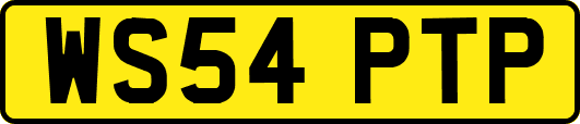 WS54PTP