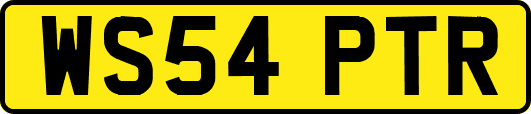 WS54PTR