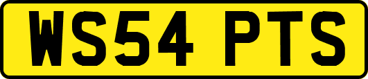 WS54PTS