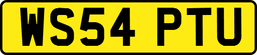 WS54PTU