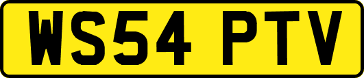 WS54PTV