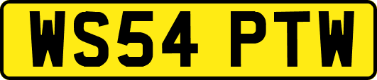 WS54PTW