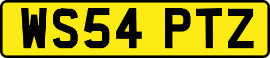 WS54PTZ