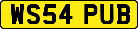 WS54PUB