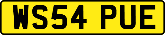 WS54PUE