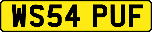 WS54PUF