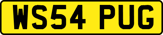 WS54PUG