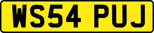 WS54PUJ