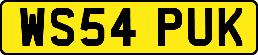 WS54PUK