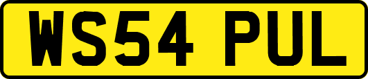 WS54PUL