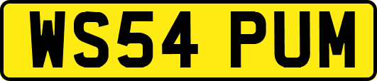 WS54PUM