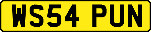 WS54PUN